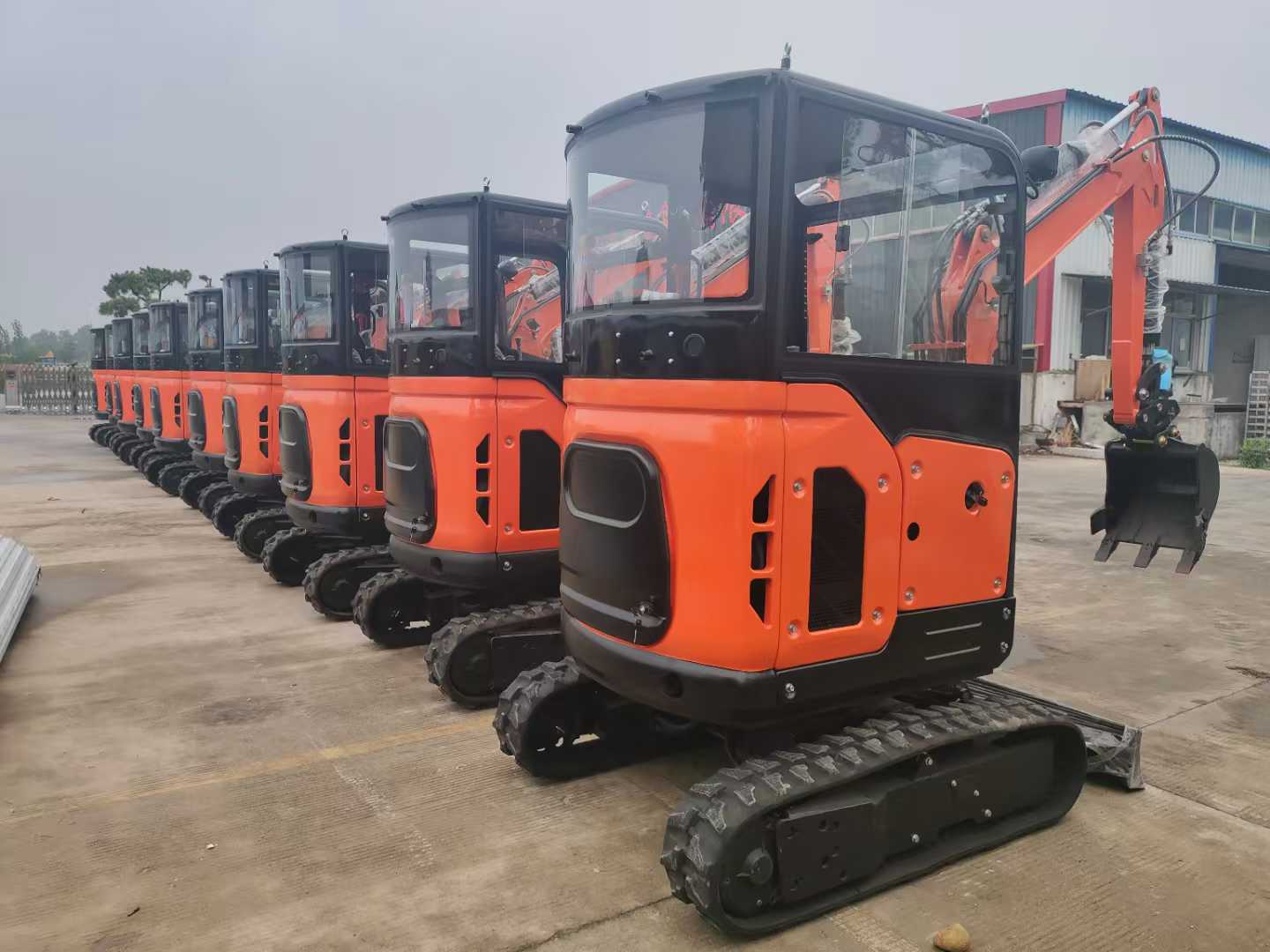 الحفار الصغير